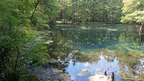 royal springs florida hiking.